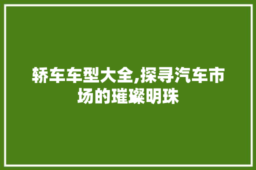 轿车车型大全,探寻汽车市场的璀璨明珠