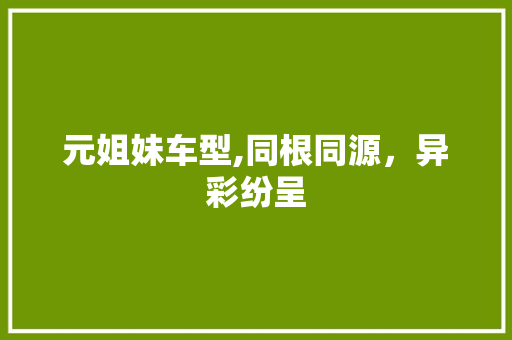 元姐妹车型,同根同源，异彩纷呈