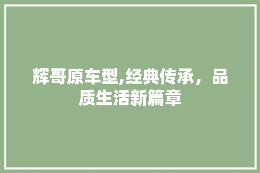 辉哥原车型,经典传承，品质生活新篇章