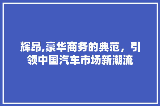 辉昂,豪华商务的典范，引领中国汽车市场新潮流