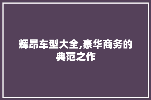 辉昂车型大全,豪华商务的典范之作