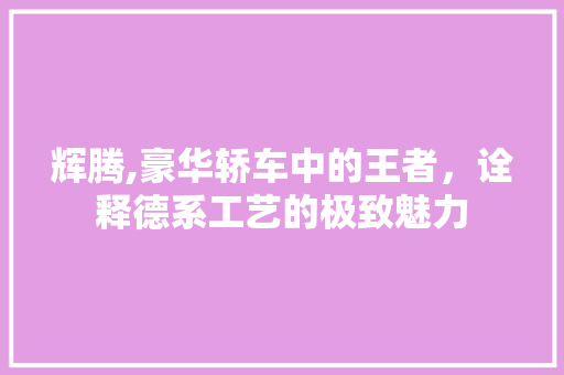 辉腾,豪华轿车中的王者，诠释德系工艺的极致魅力