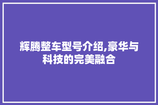 辉腾整车型号介绍,豪华与科技的完美融合