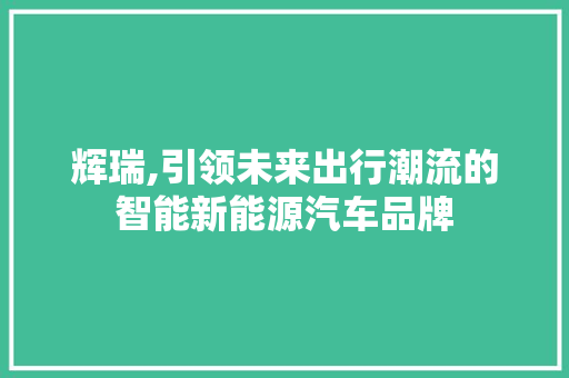 辉瑞,引领未来出行潮流的智能新能源汽车品牌