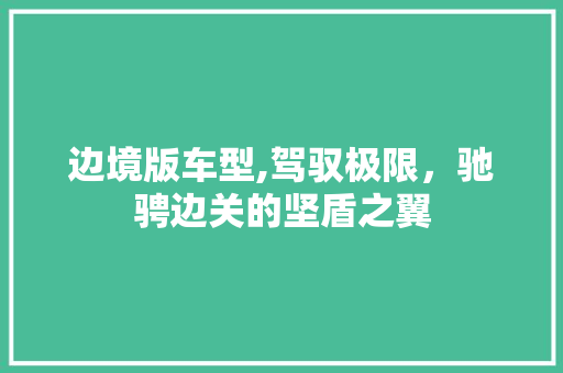 边境版车型,驾驭极限，驰骋边关的坚盾之翼