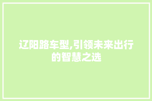 辽阳路车型,引领未来出行的智慧之选