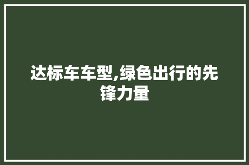 达标车车型,绿色出行的先锋力量