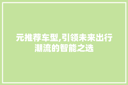元推荐车型,引领未来出行潮流的智能之选