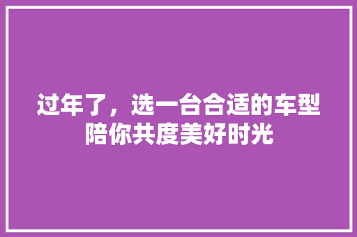 过年了，选一台合适的车型陪你共度美好时光