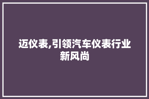 迈仪表,引领汽车仪表行业新风尚