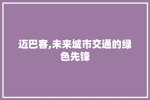 迈巴客,未来城市交通的绿色先锋