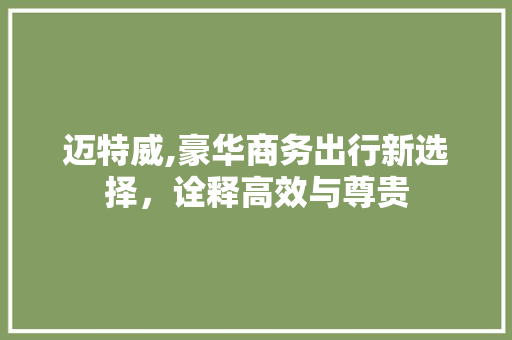 迈特威,豪华商务出行新选择，诠释高效与尊贵