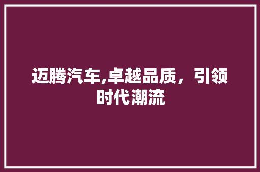 迈腾汽车,卓越品质，引领时代潮流