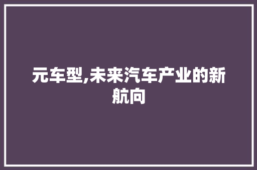 元车型,未来汽车产业的新航向