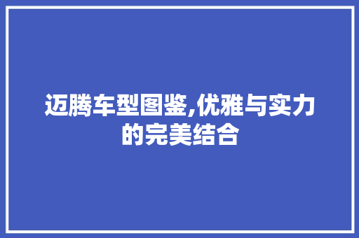 迈腾车型图鉴,优雅与实力的完美结合