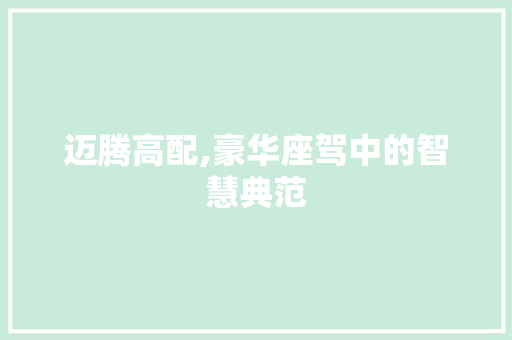 迈腾高配,豪华座驾中的智慧典范