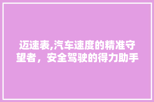 迈速表,汽车速度的精准守望者，安全驾驶的得力助手
