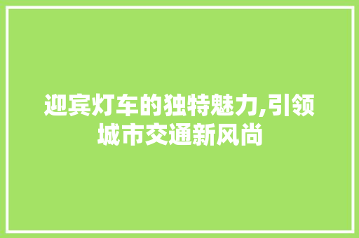 迎宾灯车的独特魅力,引领城市交通新风尚