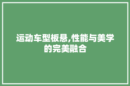 运动车型板悬,性能与美学的完美融合