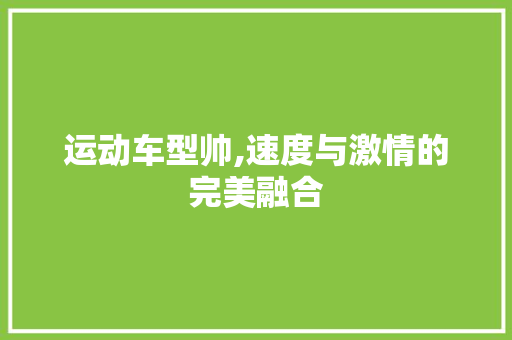 运动车型帅,速度与激情的完美融合 新款车型