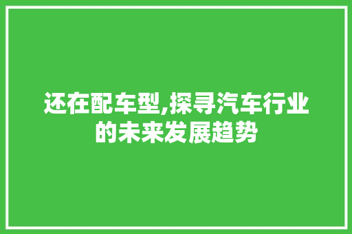 还在配车型,探寻汽车行业的未来发展趋势