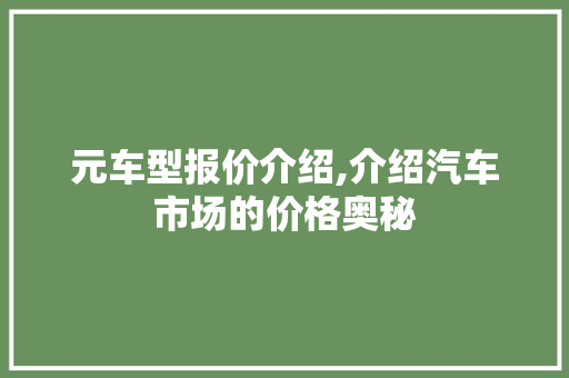 元车型报价介绍,介绍汽车市场的价格奥秘