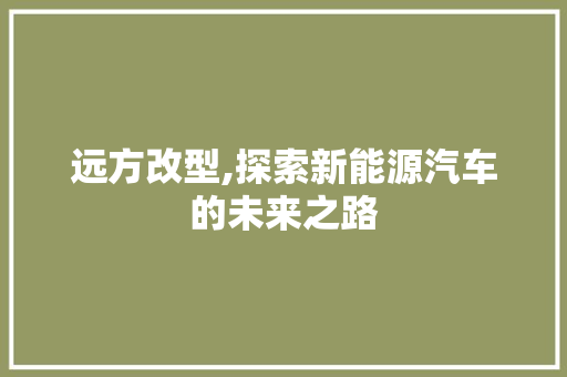 远方改型,探索新能源汽车的未来之路