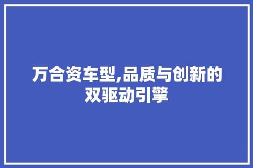 万合资车型,品质与创新的双驱动引擎