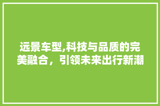 远景车型,科技与品质的完美融合，引领未来出行新潮流