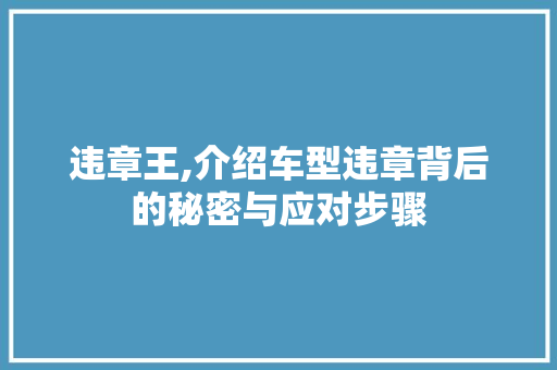 违章王,介绍车型违章背后的秘密与应对步骤
