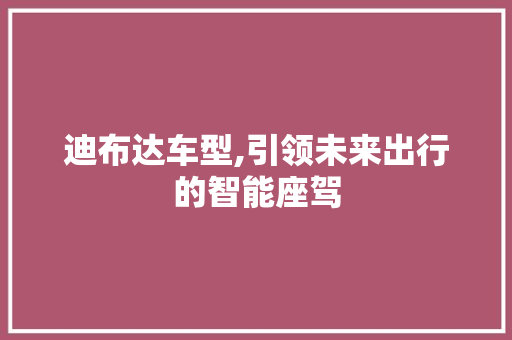 迪布达车型,引领未来出行的智能座驾