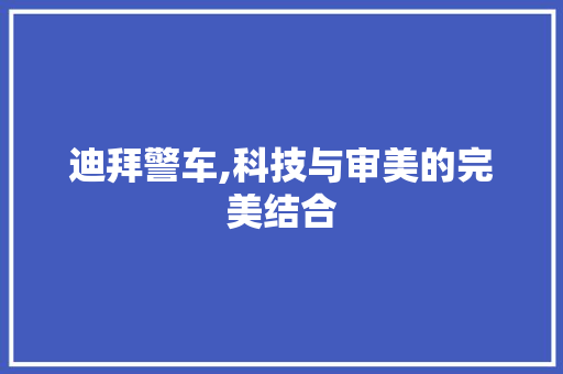 迪拜警车,科技与审美的完美结合