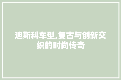 迪斯科车型,复古与创新交织的时尚传奇