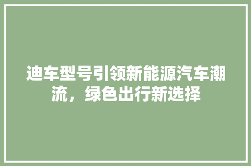迪车型号引领新能源汽车潮流，绿色出行新选择