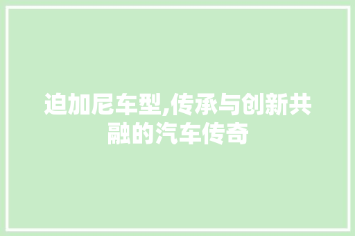 迫加尼车型,传承与创新共融的汽车传奇