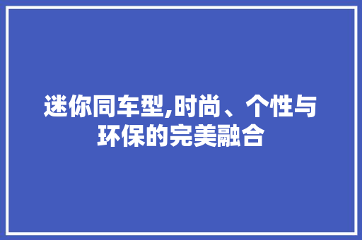迷你同车型,时尚、个性与环保的完美融合