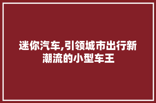 迷你汽车,引领城市出行新潮流的小型车王