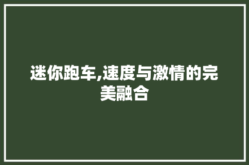 迷你跑车,速度与激情的完美融合