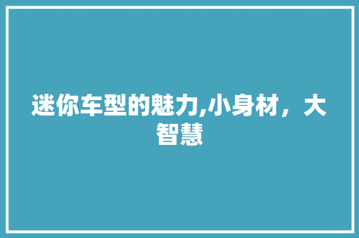 迷你车型的魅力,小身材，大智慧 新能源汽车