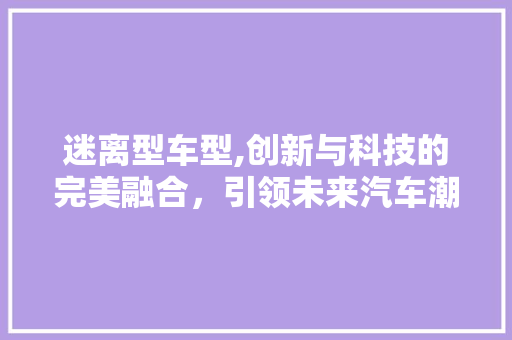 迷离型车型,创新与科技的完美融合，引领未来汽车潮流