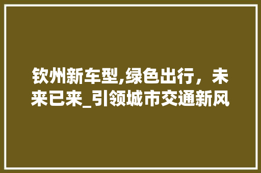 钦州新车型,绿色出行，未来已来_引领城市交通新风尚