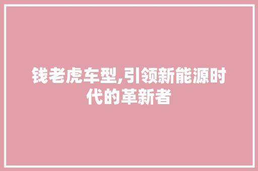 钱老虎车型,引领新能源时代的革新者