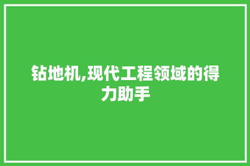 钻地机,现代工程领域的得力助手