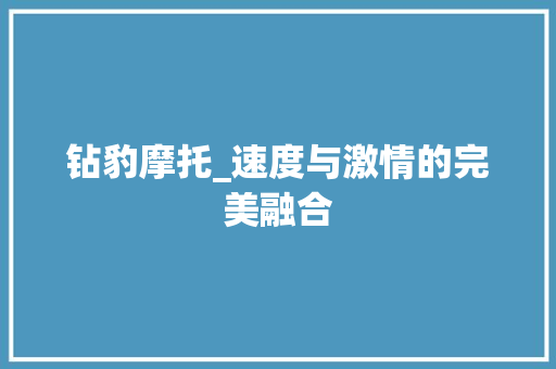 钻豹摩托_速度与激情的完美融合
