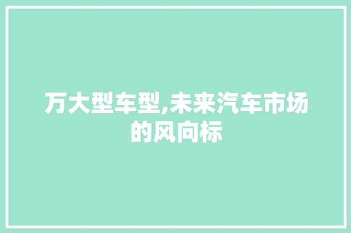 万大型车型,未来汽车市场的风向标