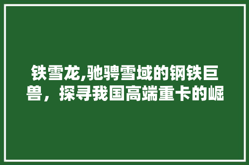 铁雪龙,驰骋雪域的钢铁巨兽，探寻我国高端重卡的崛起之路