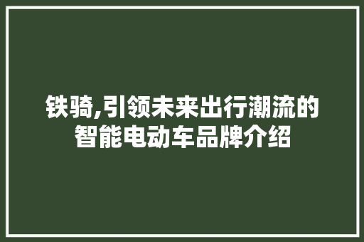 铁骑,引领未来出行潮流的智能电动车品牌介绍