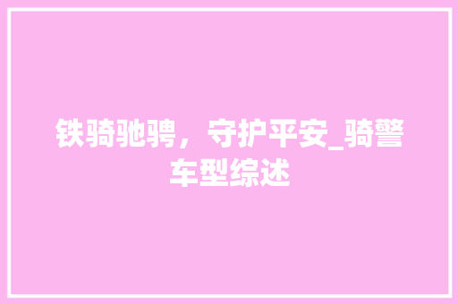 铁骑驰骋，守护平安_骑警车型综述
