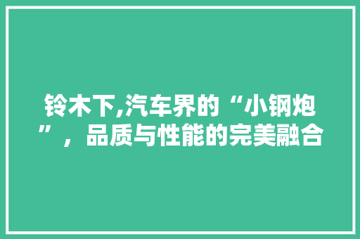 铃木下,汽车界的“小钢炮”，品质与性能的完美融合