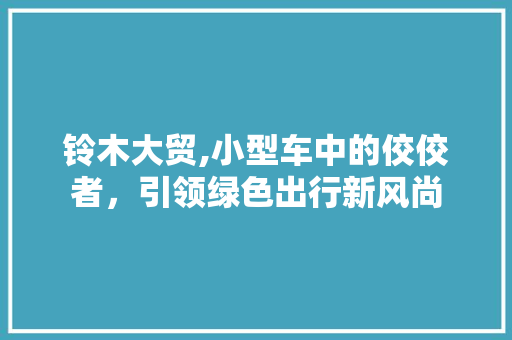 铃木大贸,小型车中的佼佼者，引领绿色出行新风尚